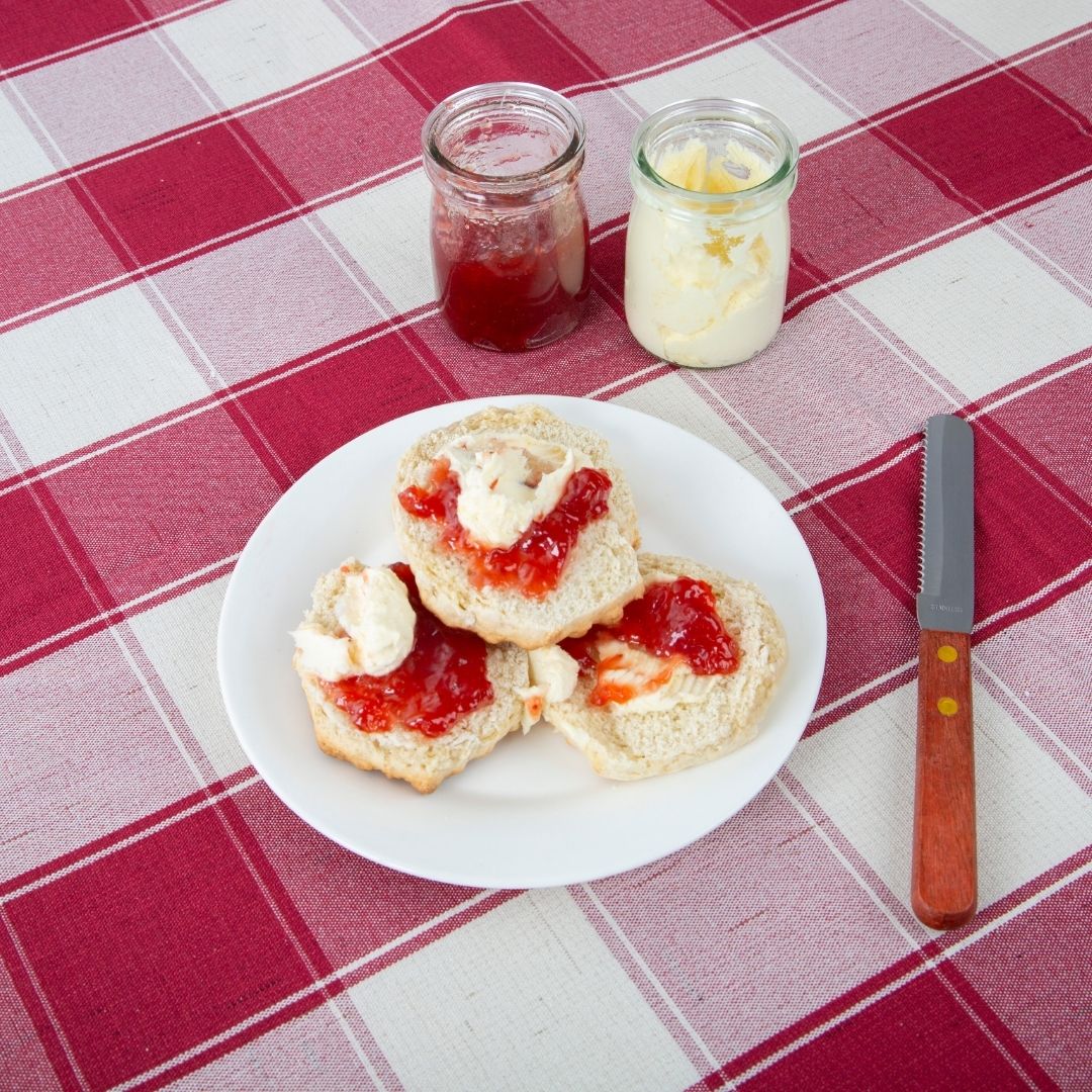 Red and White Check Picnic Blanket