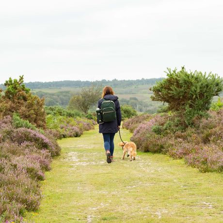 Five reasons to put on your boots and go for a walk.